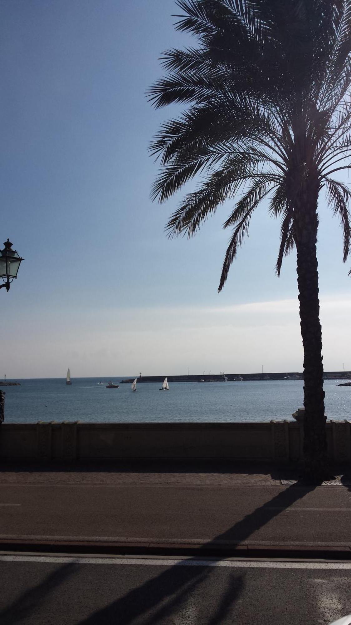 Sea Breeze
